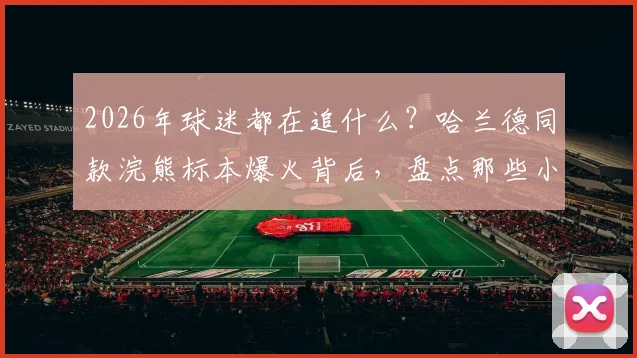 2026年球迷都在追什么?哈兰德同款浣熊标本爆火背后,盘点那些小众又独特的体育明星周边礼物